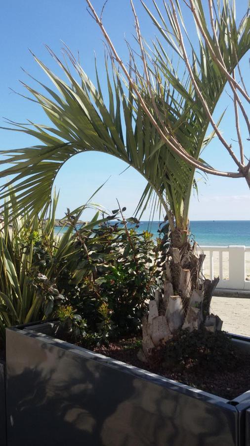 Ty Avel Studios 110 Et 111 Quiberon Exterior photo