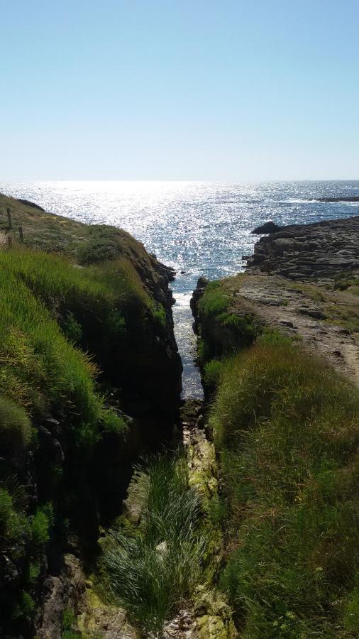 Ty Avel Studios 110 Et 111 Quiberon Exterior photo